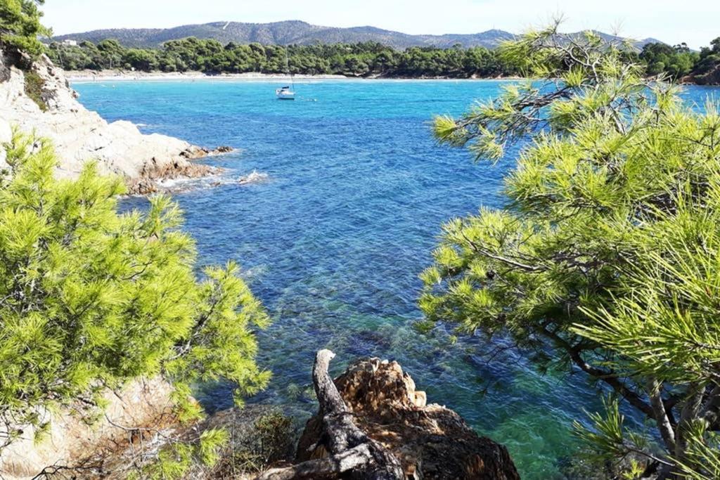 T2 Clim Parking, Entre Nature Et Plage Hyères Екстериор снимка